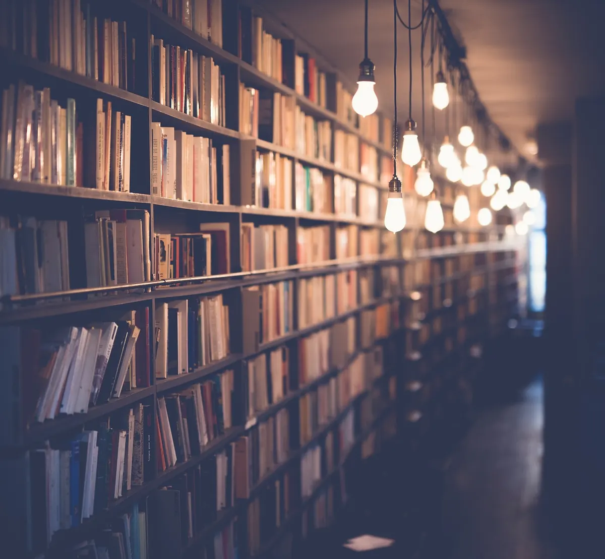 Floating Shelves vs Bracket Shelves: Which Suits Your Wall and Load?